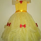 Beautiful Princess tutu dress